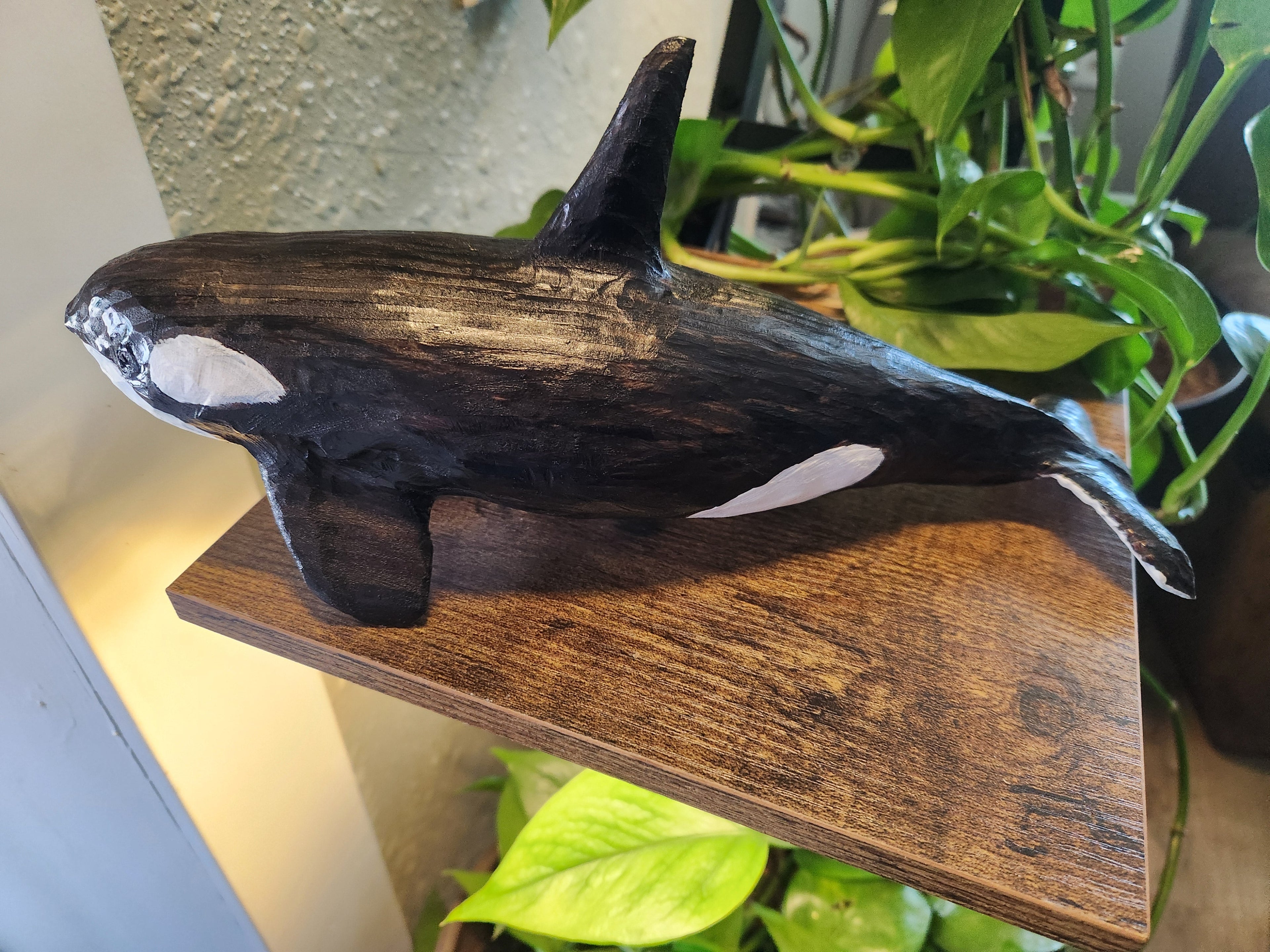 Orca
