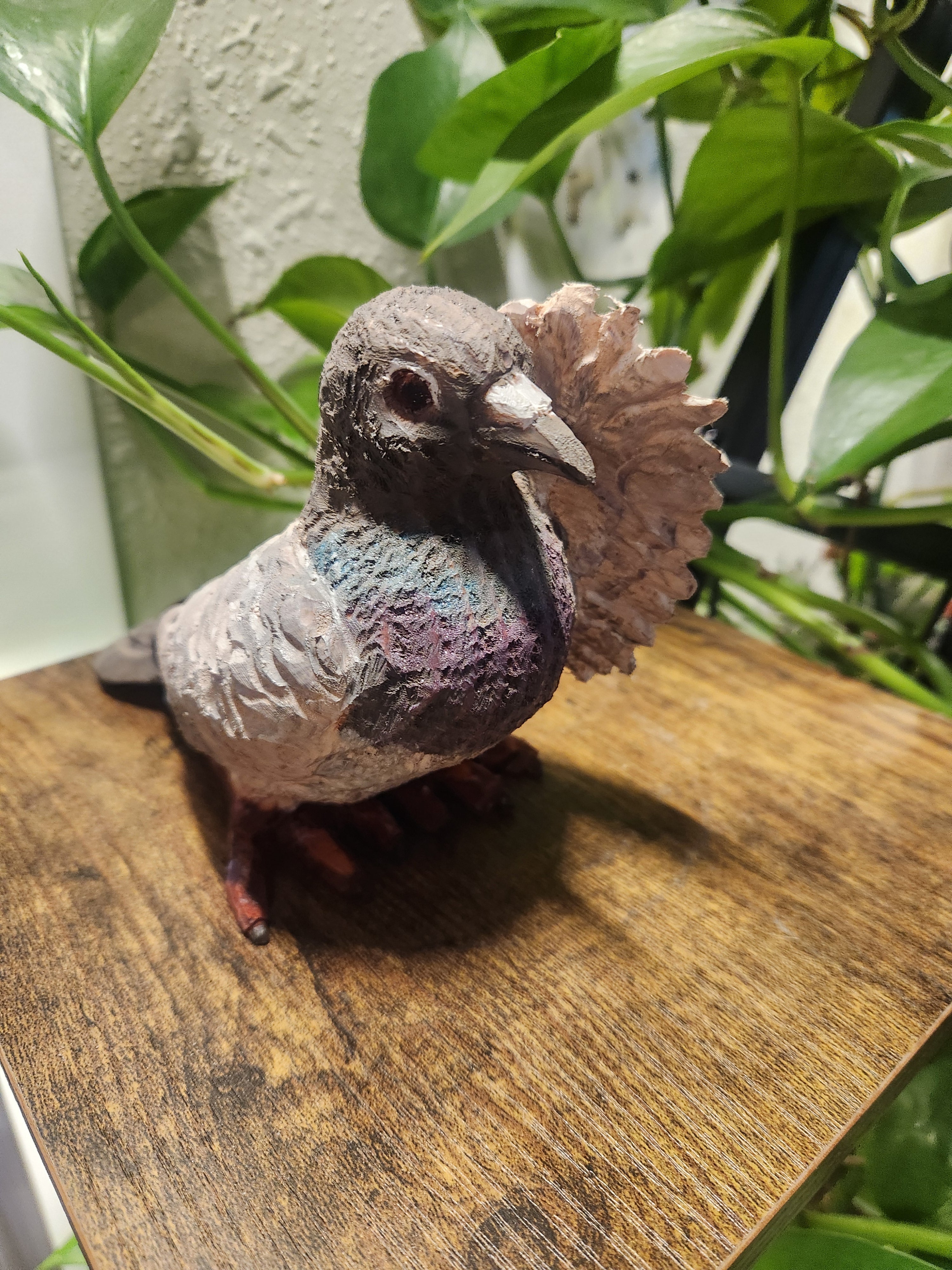 Saluting Pigeon