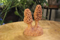 Hand Carved Wooden Morel Mushroom