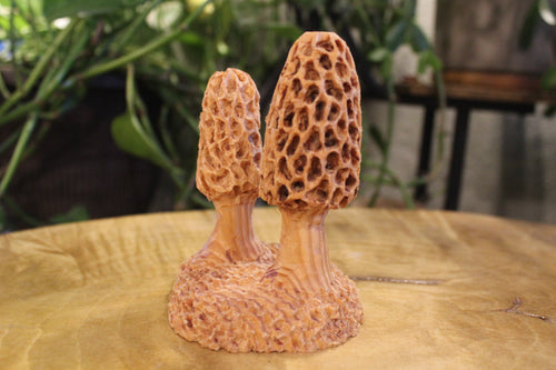Hand Carved Wooden Morel Mushroom