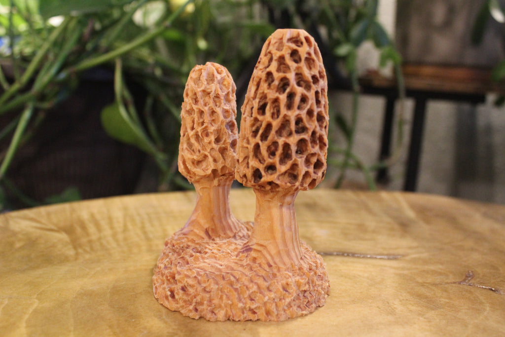 Hand Carved Wooden Morel Mushroom