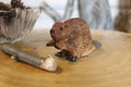 Hand Carved Wooden Beaver Figurine