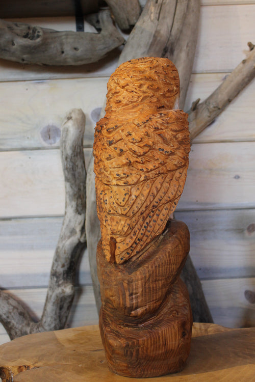 Chainsaw Carved Barn Owl